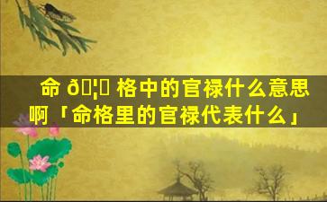 命 🦊 格中的官禄什么意思啊「命格里的官禄代表什么」